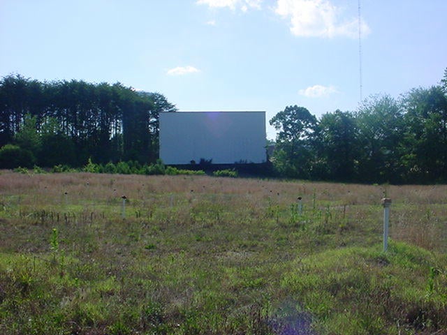 Screen & Field