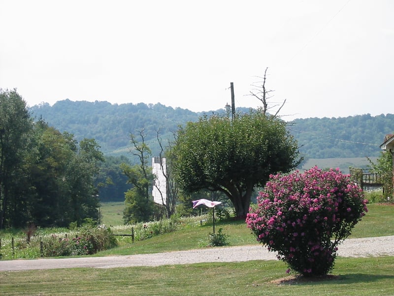 Twin Oaks Drive In near Sparta, NC