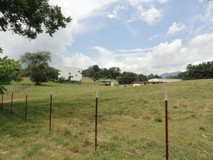 screen and field