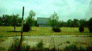 screen and field; taken July, 2000