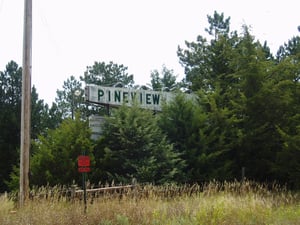 netpine007.jpg