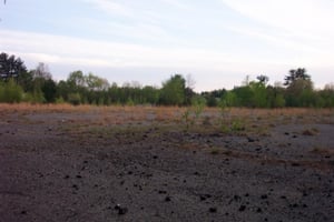 View of former lot taken from exit road.