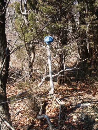 The site as it exists today, is basically a cleared field used by the NJ Dept of Transportation to store road materials. Some other artifacts remain, and you can still see where the screen once was, access roads, and other items.