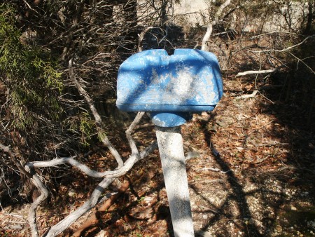 One of only two speaker poles remaining, but not in original spots. This is in the tree line along left side of field. Probably thrown there when NJ DOT leveled field. From wiring in box, "Projected Sound" brand speakers were used here.