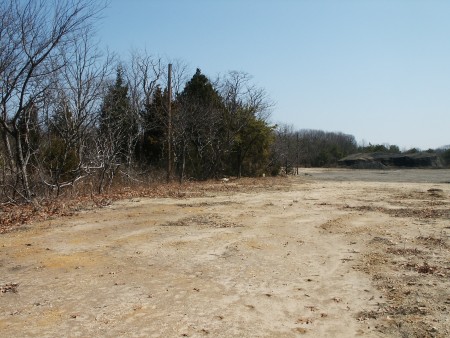 Looking Northeast along tree & shrub line towards screen on left side of field.