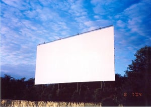 DELSEA DRIVE IN SCREEN