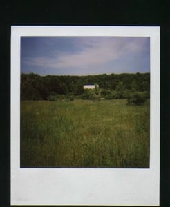 Newton Drive in The screen still stands but is overgrown with trees