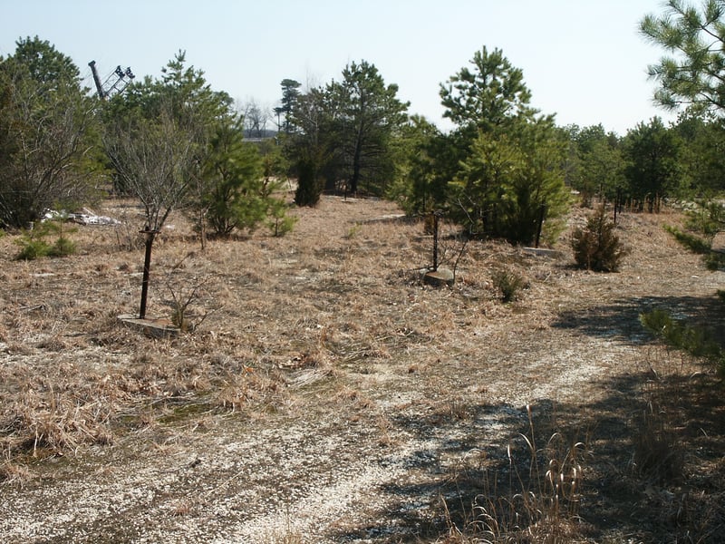 Area of field still pretty much intact. Waiting for cars that will never return.