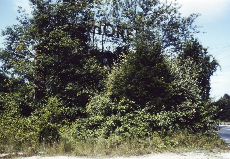 The very overgrown marquee