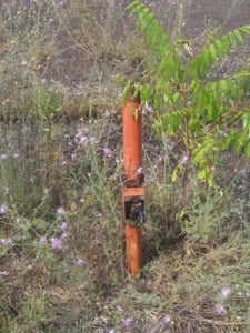 One of the many speaker posts still standing