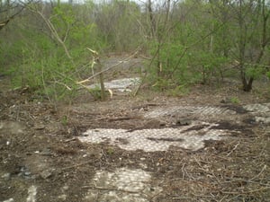 This is whats left of the tile on the bathroom floor at the super 130 drive in. They are starting to clear out the field and tear down the trees and brush