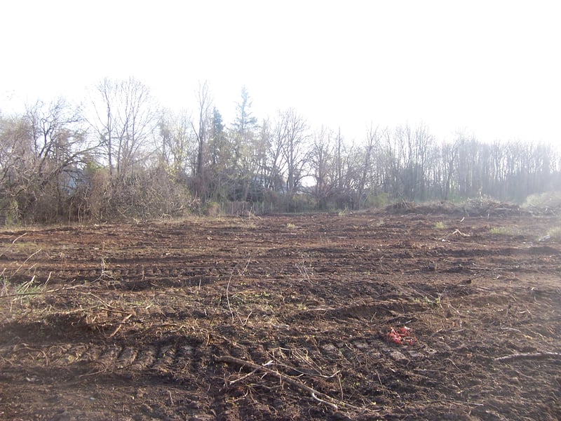This is where the screen used to be. They bull dozed the whole drive in Yesterday, Making way or Town houses