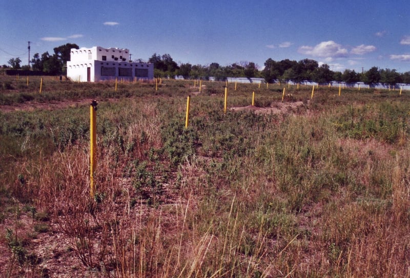 Yellow speaker poles with missing junction boxes and speakers