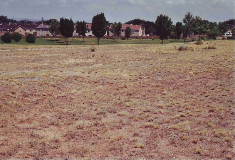 View of the field where the ramps can still be seen