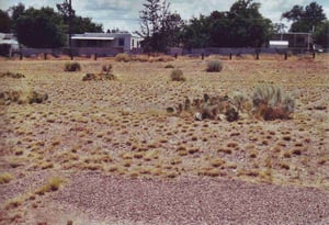 Field with cacti and ramps