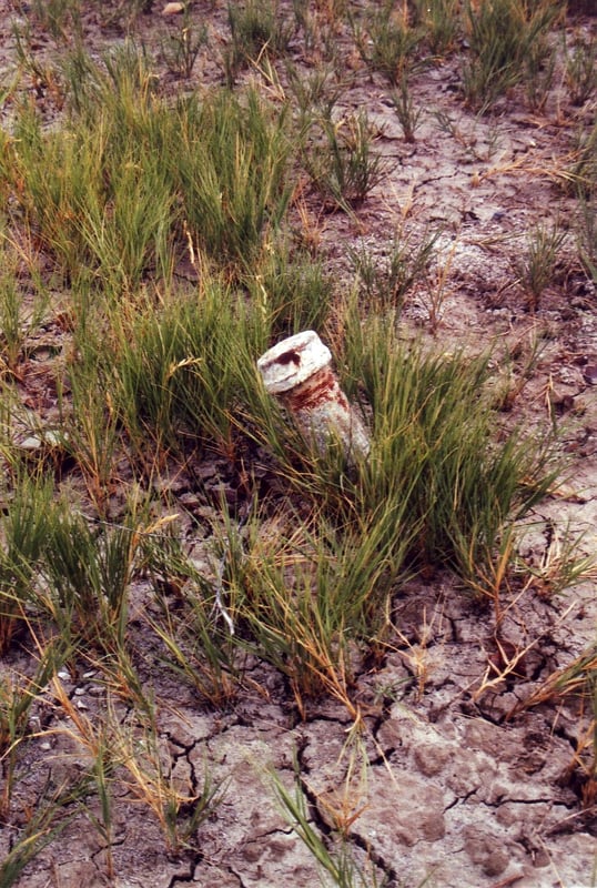 The area has been flooded several times by a nearby river and is covered with a thick layer of mud