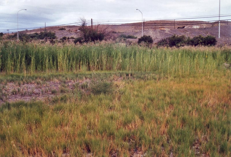 I`ve been told by a local that this is the spot where the screen once stood