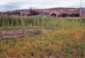 I`ve been told by a local that this is the spot where the screen once stood