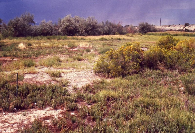 Mud-covered field, nothing is recognizable