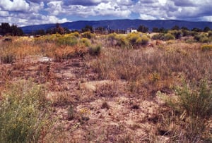 Deserted field