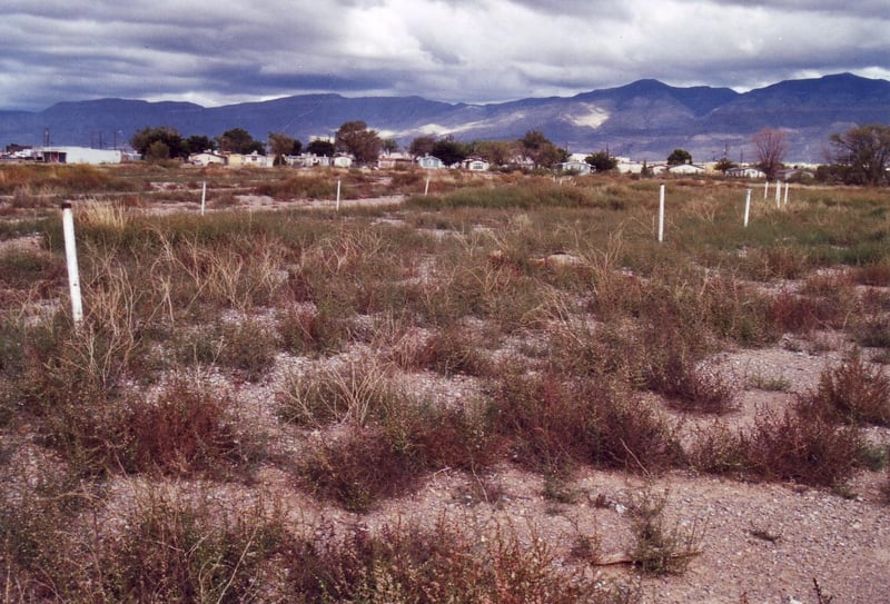 General view, looking towards Alamogordo