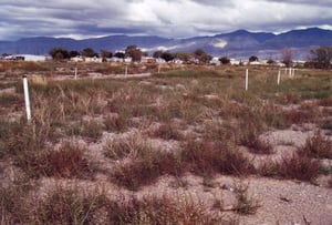 General view, looking towards Alamogordo
