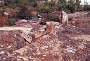 Stumps of screen tower