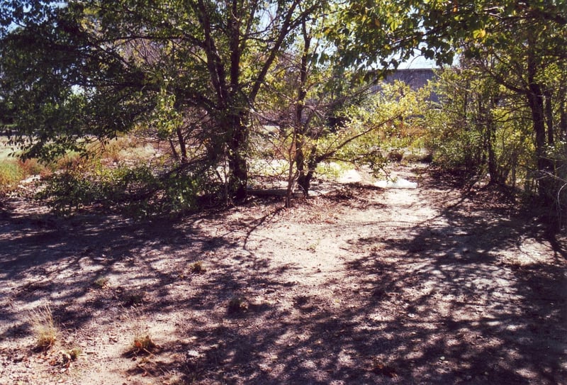Overgrown foundations of 2 ticket booths
at main entrance
