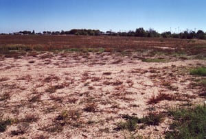 Empty field of the drive-in