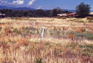 Field with a few speaker poles left