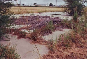 Not much remains of the concession/projection building