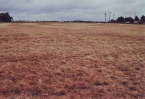 West field. The flat ramps can be seen curving to the right