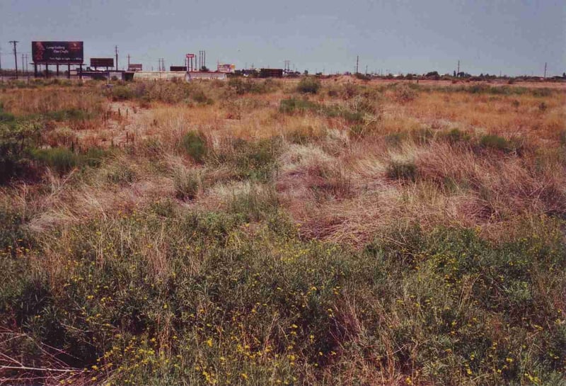 Field with a ramp barely visible