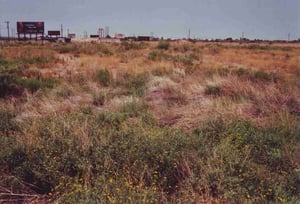 Field with a ramp barely visible