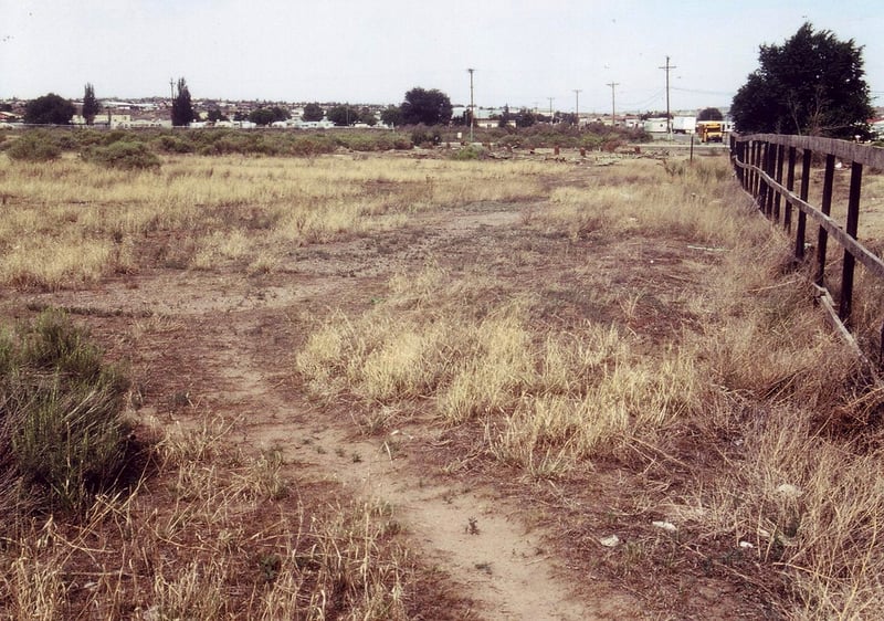 Field with wooden stumps of the screen tower in background