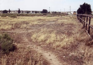 Field with wooden stumps of the screen tower in background