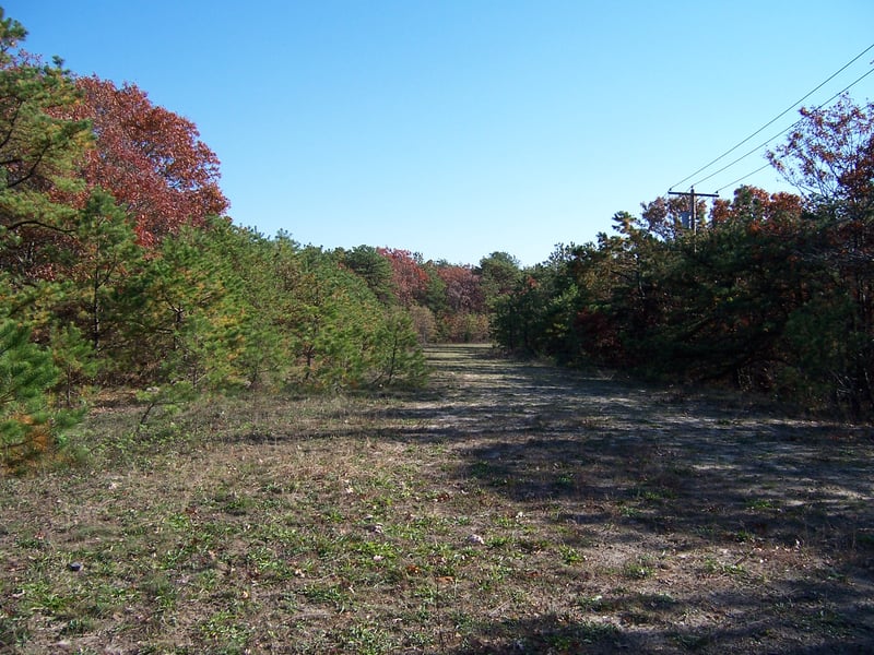 Former entrance and exit road. Just west of current access road