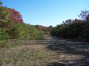 Former entrance and exit road. Just west of current access road