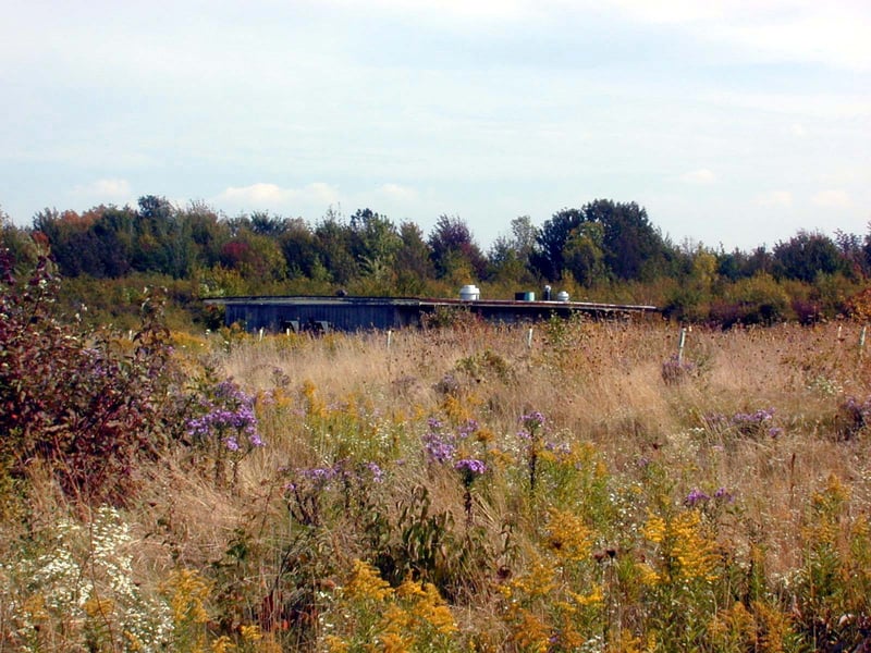 concessions/projection