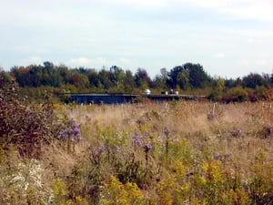 concessions/projection