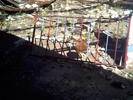 Railing perhaps for when in line to get food.