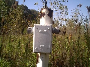 Perhaps an old heater box for the winter time.