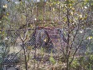 Jungle gym still stands strong on the playground.