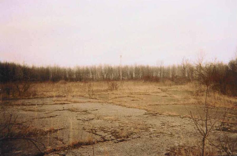 Looking at the lot from where the screen tower stood. The light pole in back is all that is left of the drive-in.