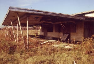 Picture showing the outdoor entertaining area