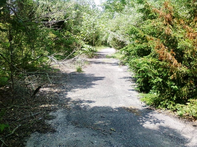 This is the main entrance road of the drive-in just after you pass throught the ticket booth.  The road itself is still there an still has the original blacktop, it circles the whole drive-in and exits back out on to Rt. 68