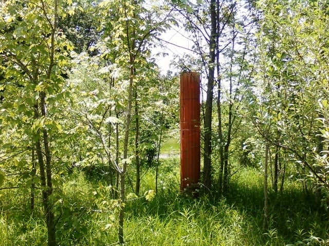 The 3rd of the light towers, trees an bushes are begining to over take it. several yards past this an beyond the ticket booth area if you look closely are the remains of the base where the screen once stood. The ramping is still there as are a feww of t