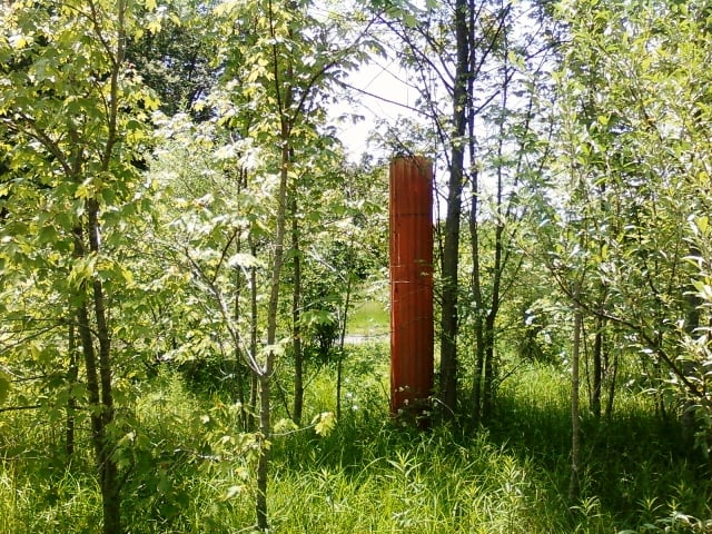 The 3rd of the light towers, trees an bushes are begining to over take it.  several yards past this an beyond the ticket booth area if you look closely are the remains of the base where the screen once stood.  The ramping is still there as are a feww of t