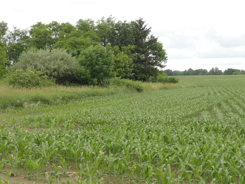 Former site-now an open field