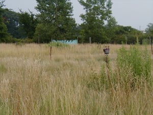 Miles field with one of the old speaker post tops that would glow